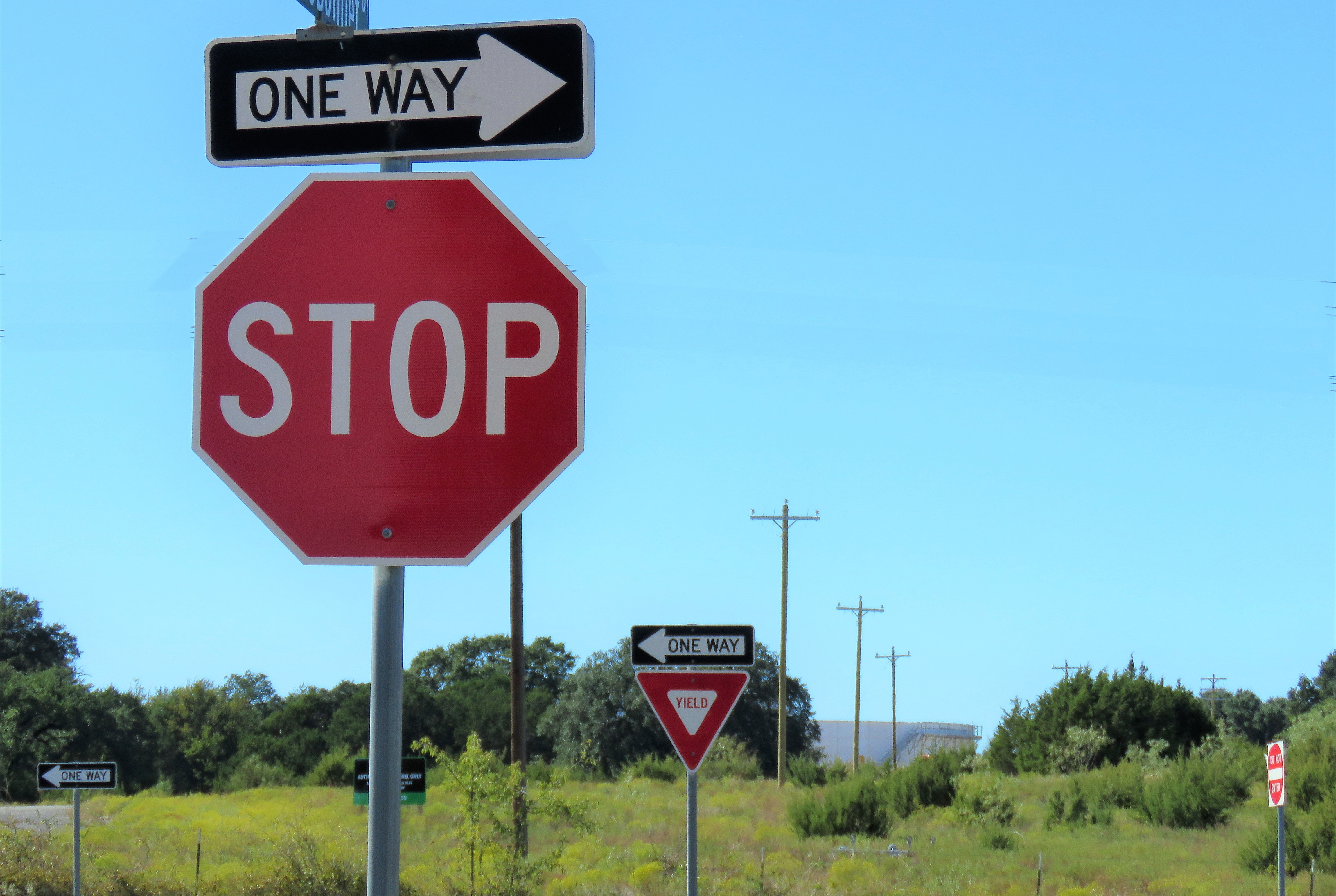 Web Exclusives Early Warning Signs