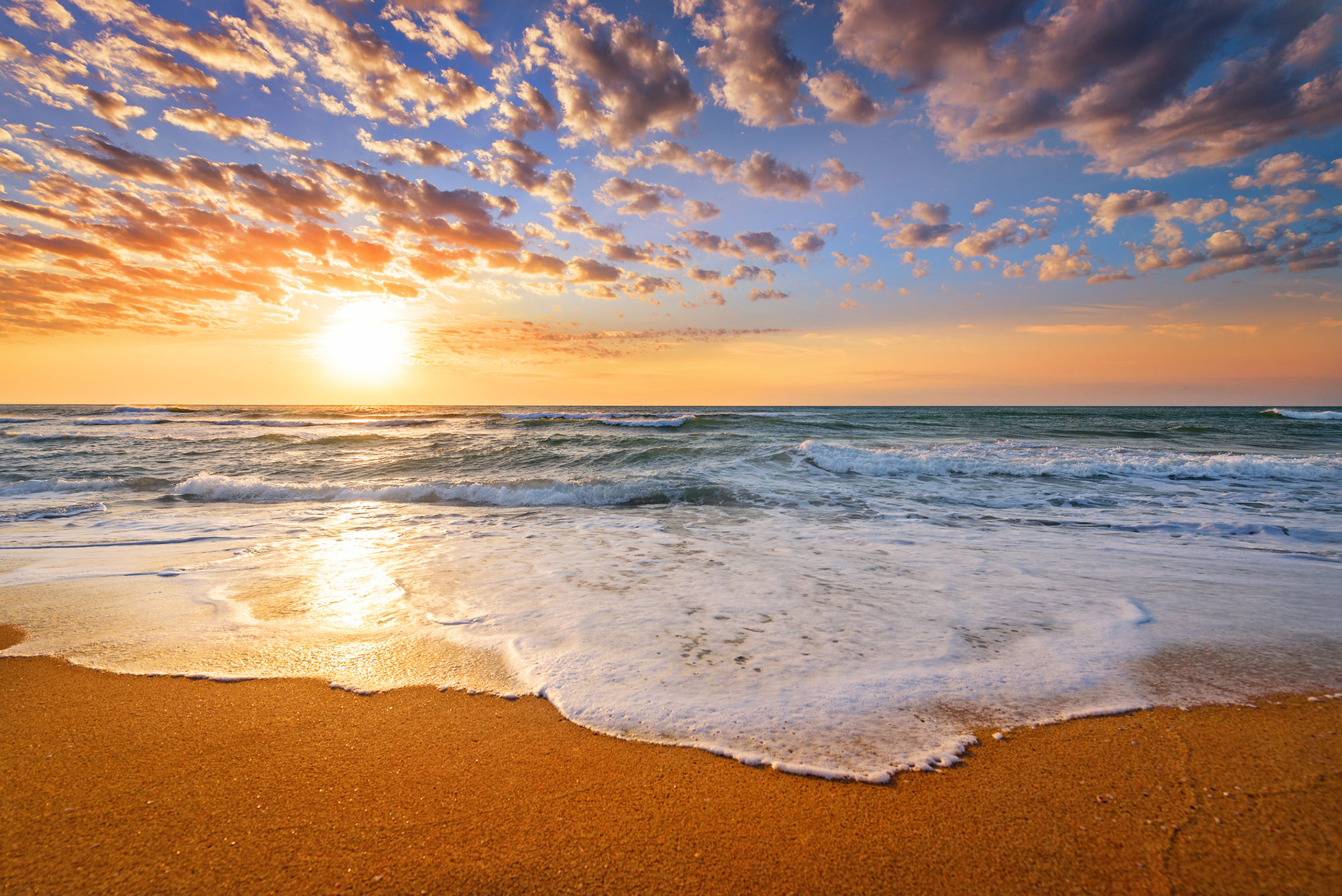 Gratitude, Every Morning Web Exclusives