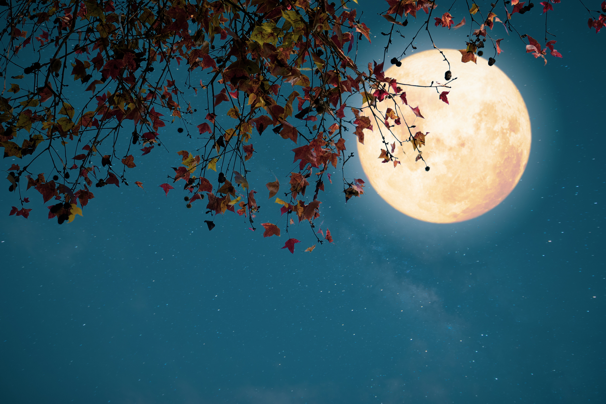 Conversations With The Moon