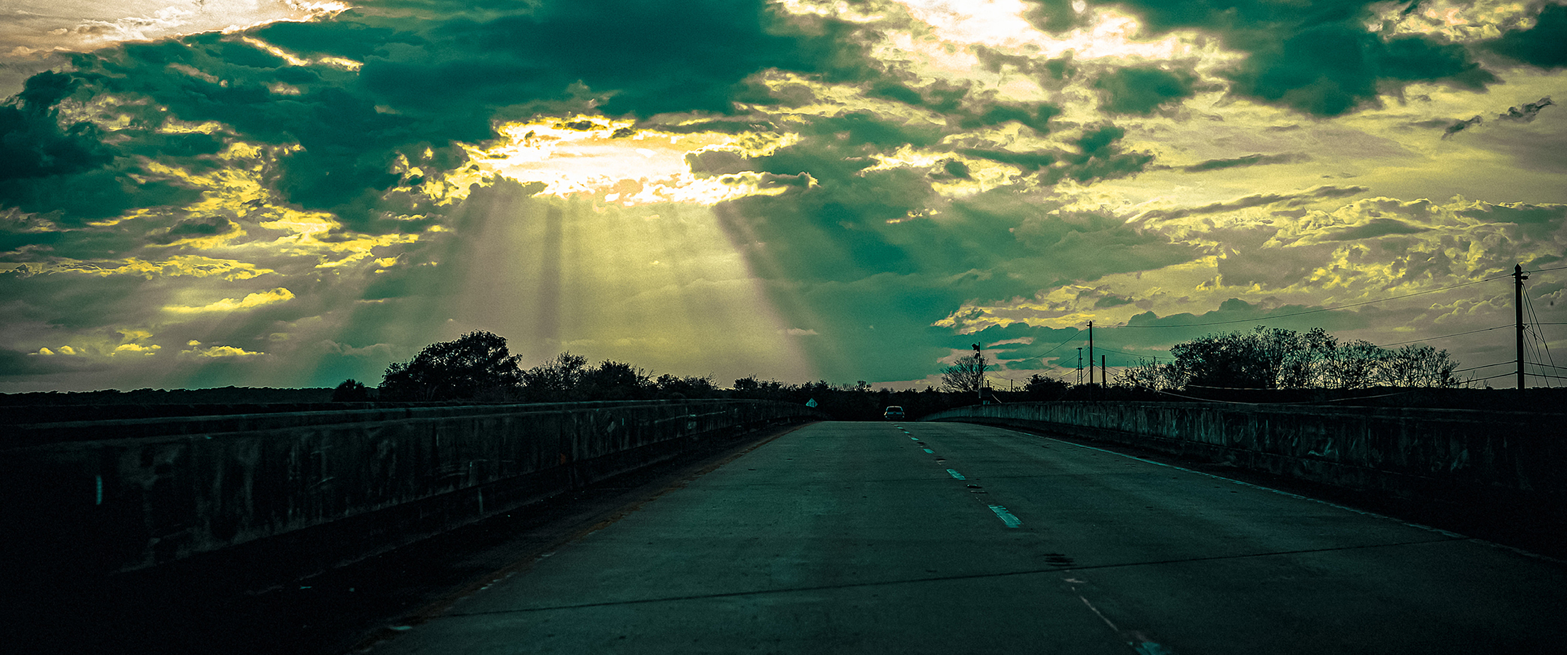 My Curious Journey Into Service Web Exclusives