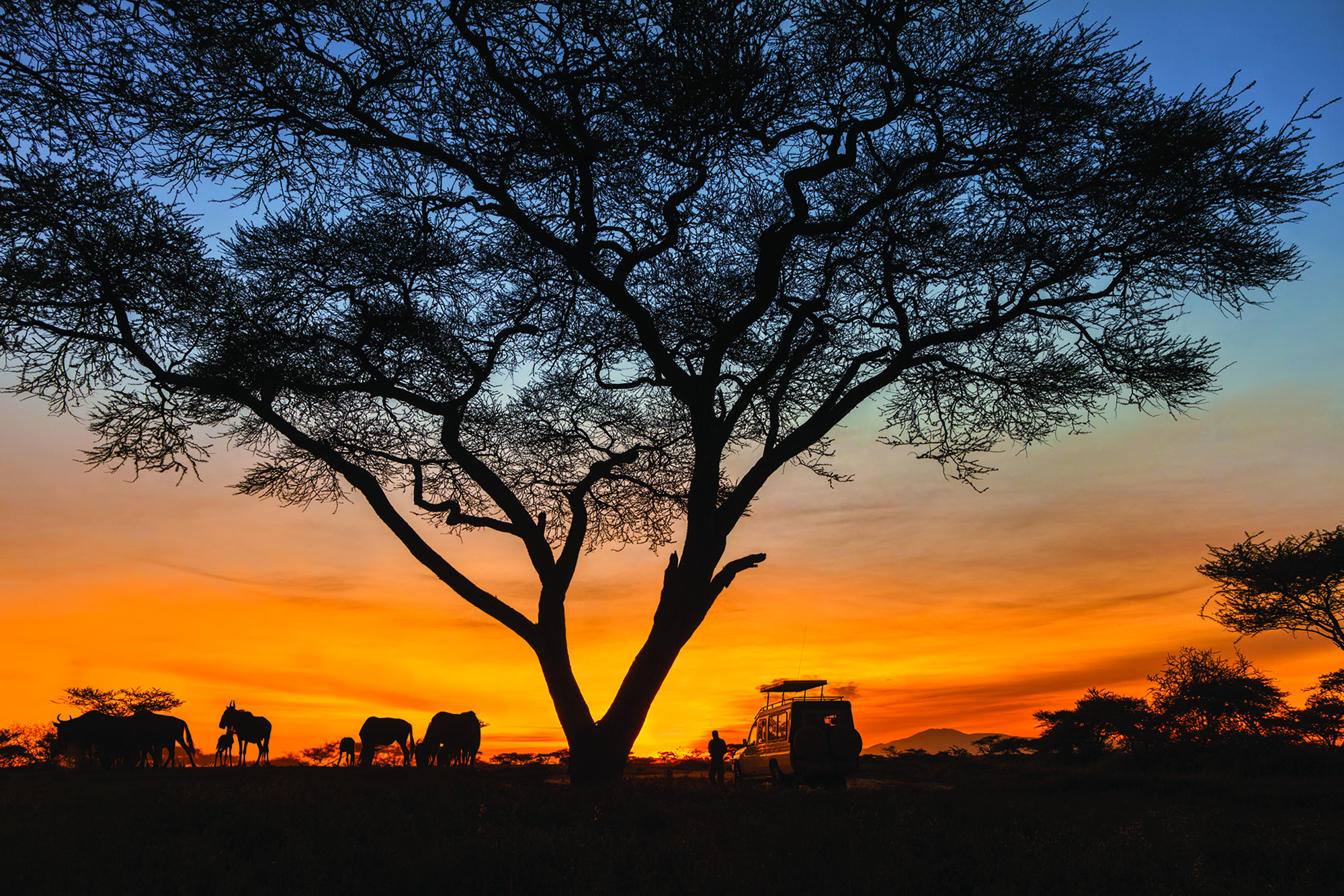 In the Shadow of Mt. Kilimanjaro