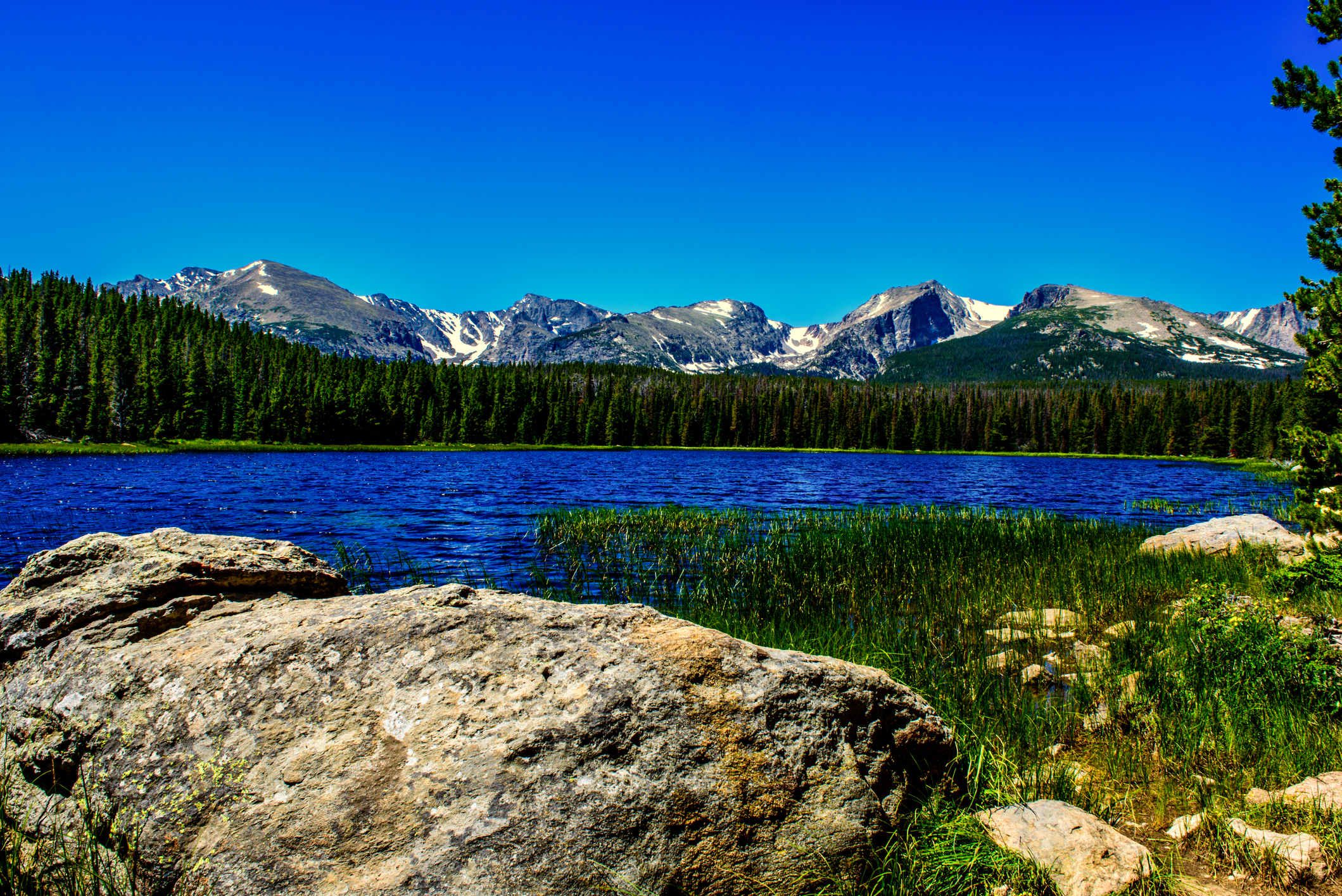 Of Mountains And AA Web Exclusives