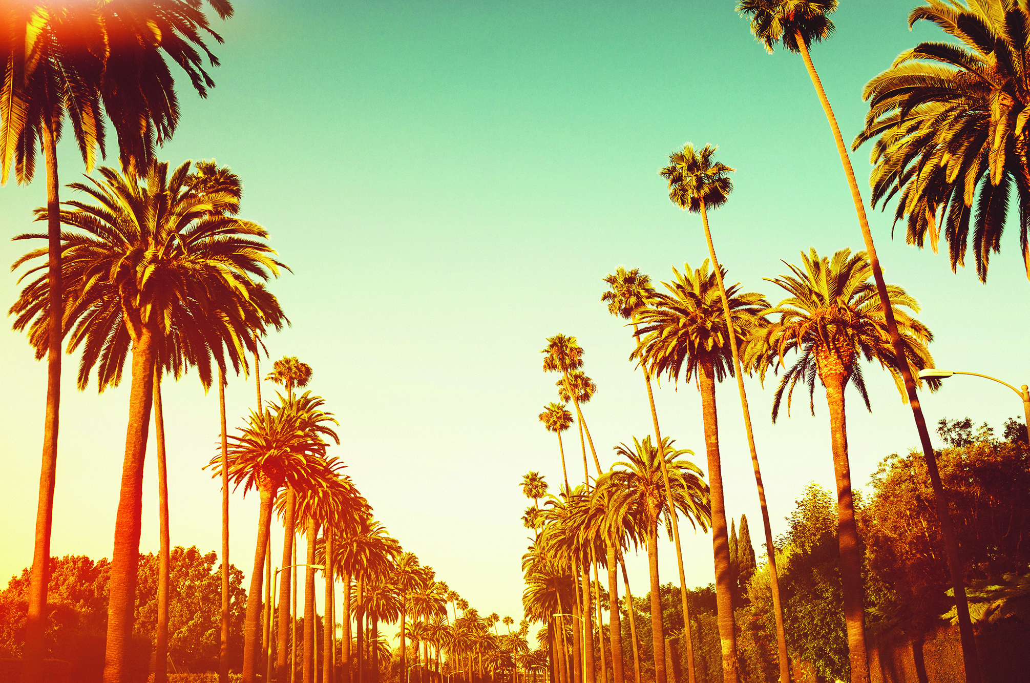 Once Upon a Time in L.A.