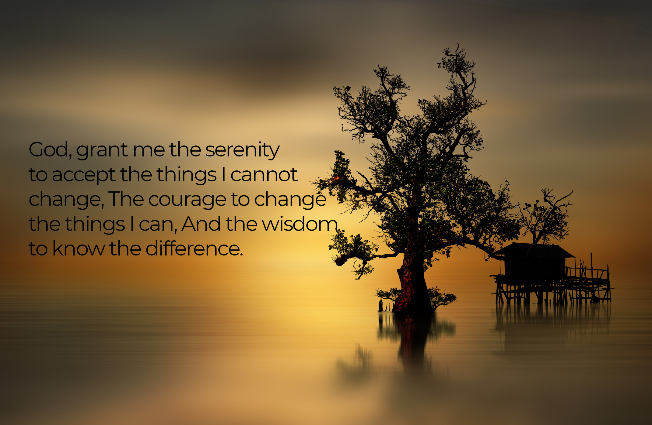 The Long Lonely Journey Web Exclusives