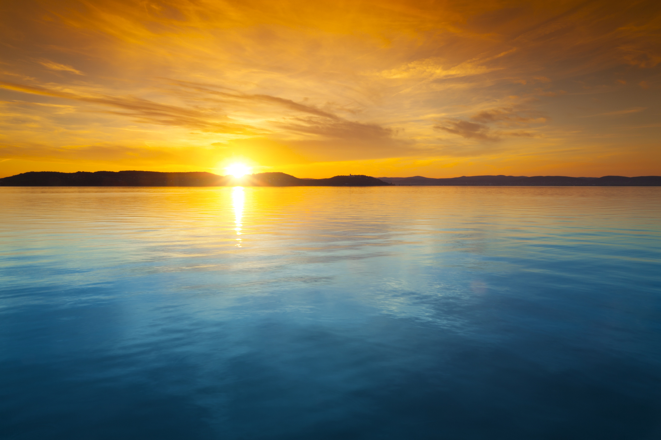 My Most Amazing Life Web Exclusives
