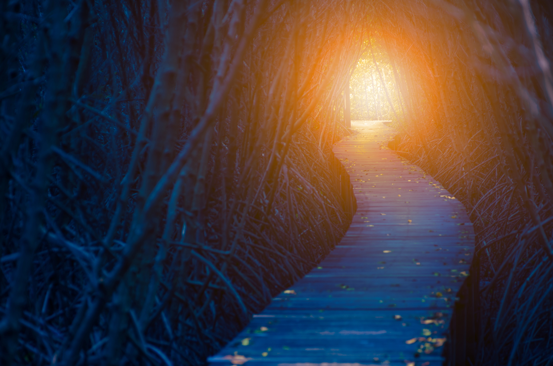 A Light at the End of the Tunnel Web Exclusives