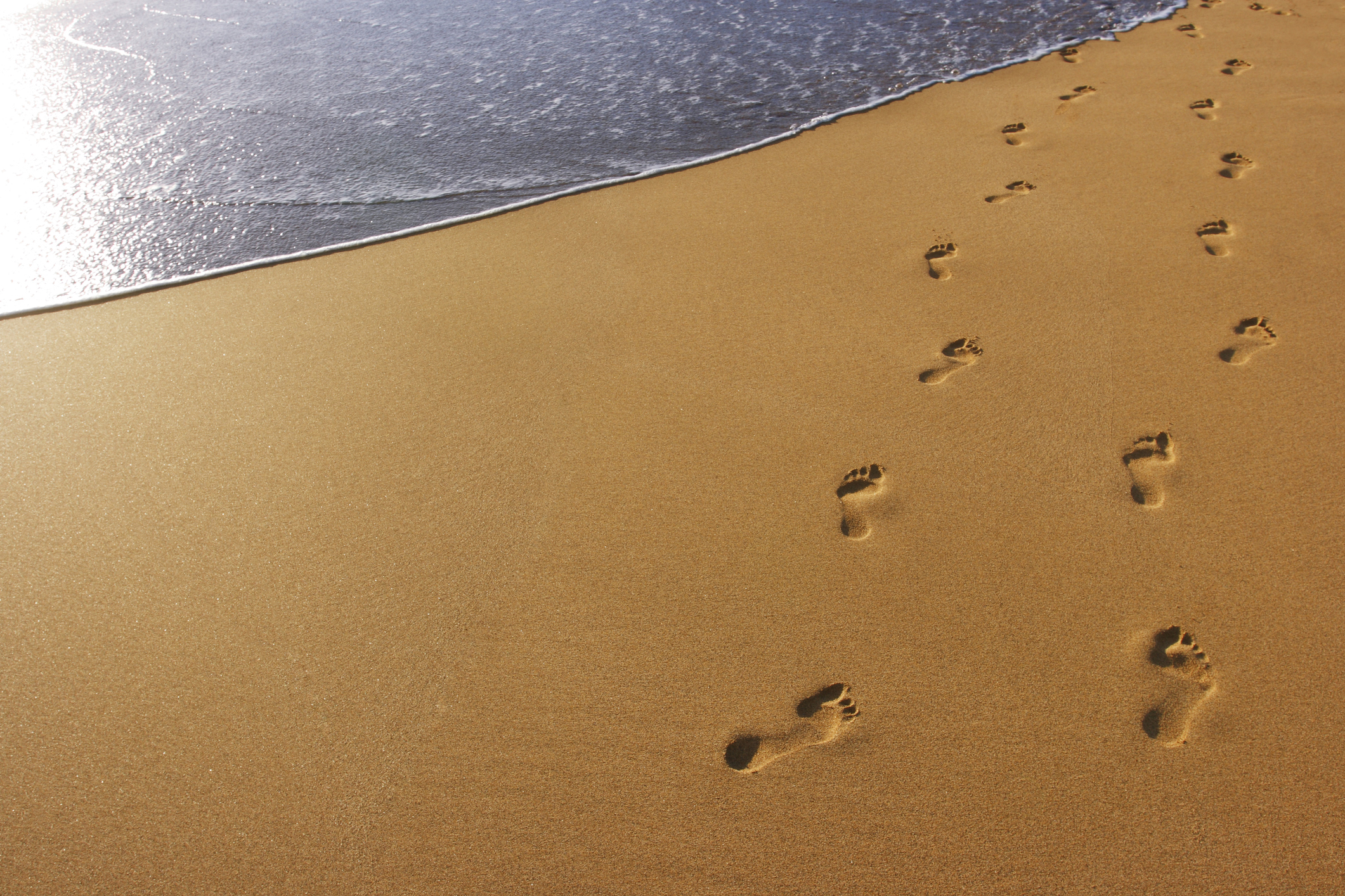 My Steps To Service Web Exclusives