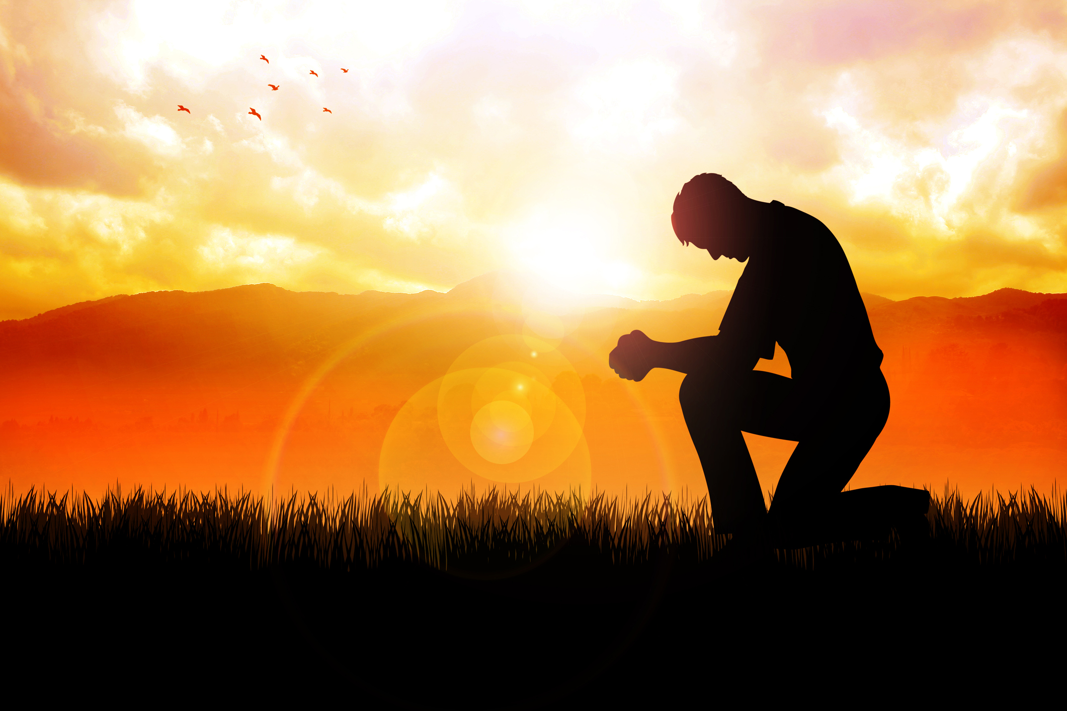 Rediscovering A Faith Web Exclusives