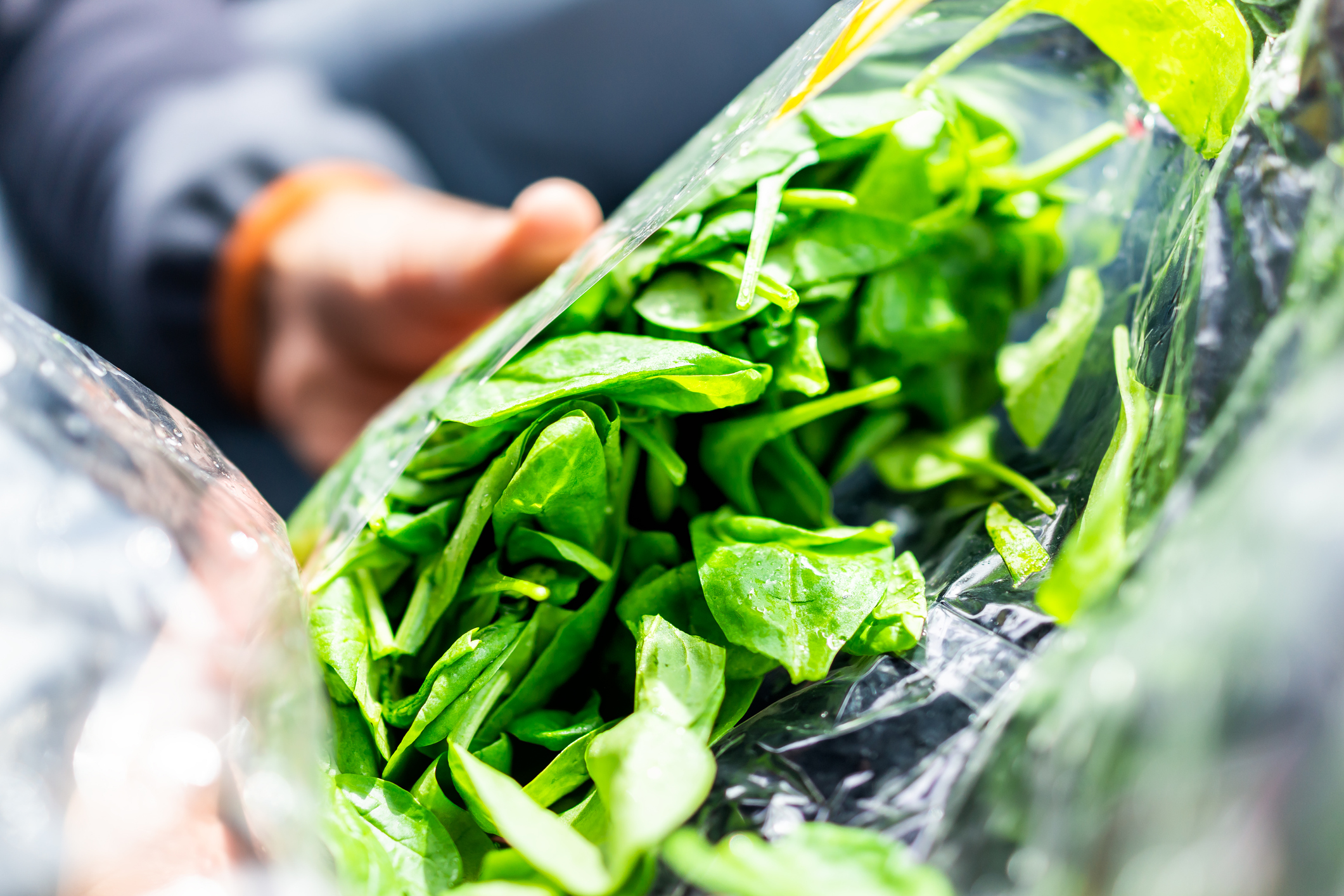 Awareness: The Other Vegetable Web Exclusives