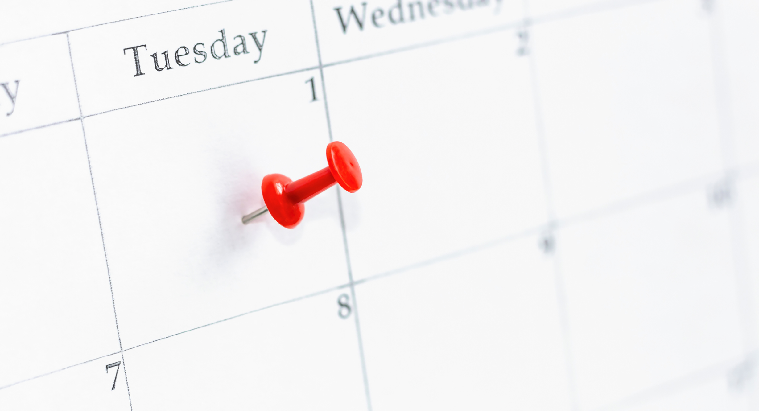 Tuesdays Web Exclusives