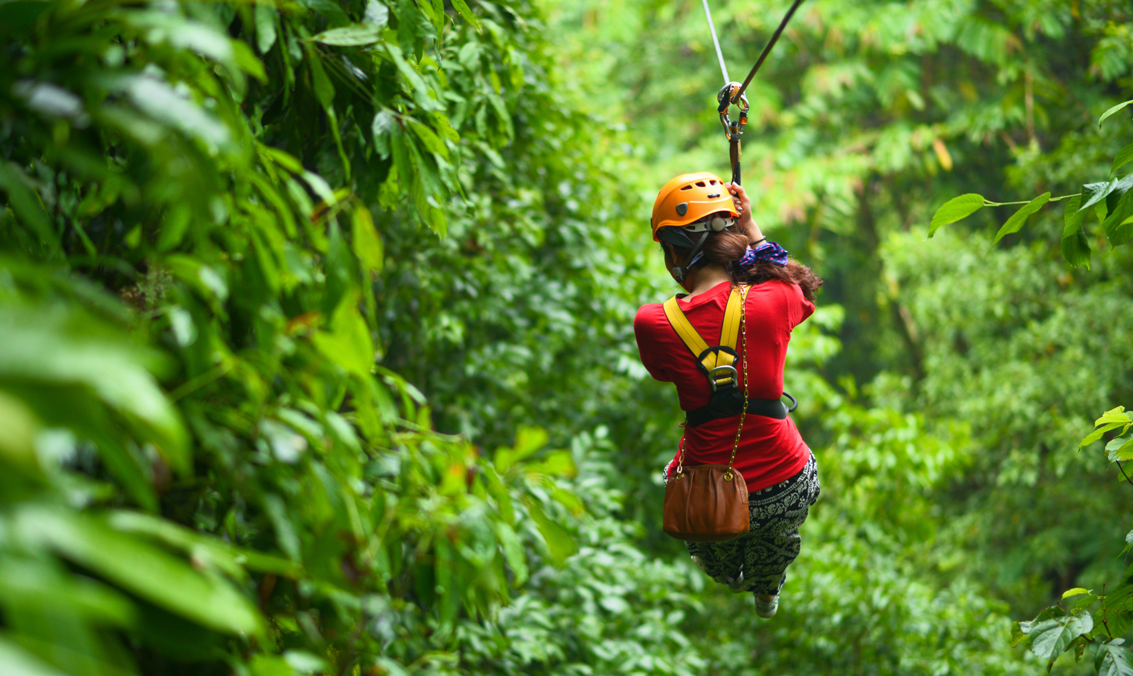 The Zip Line Web Exclusives