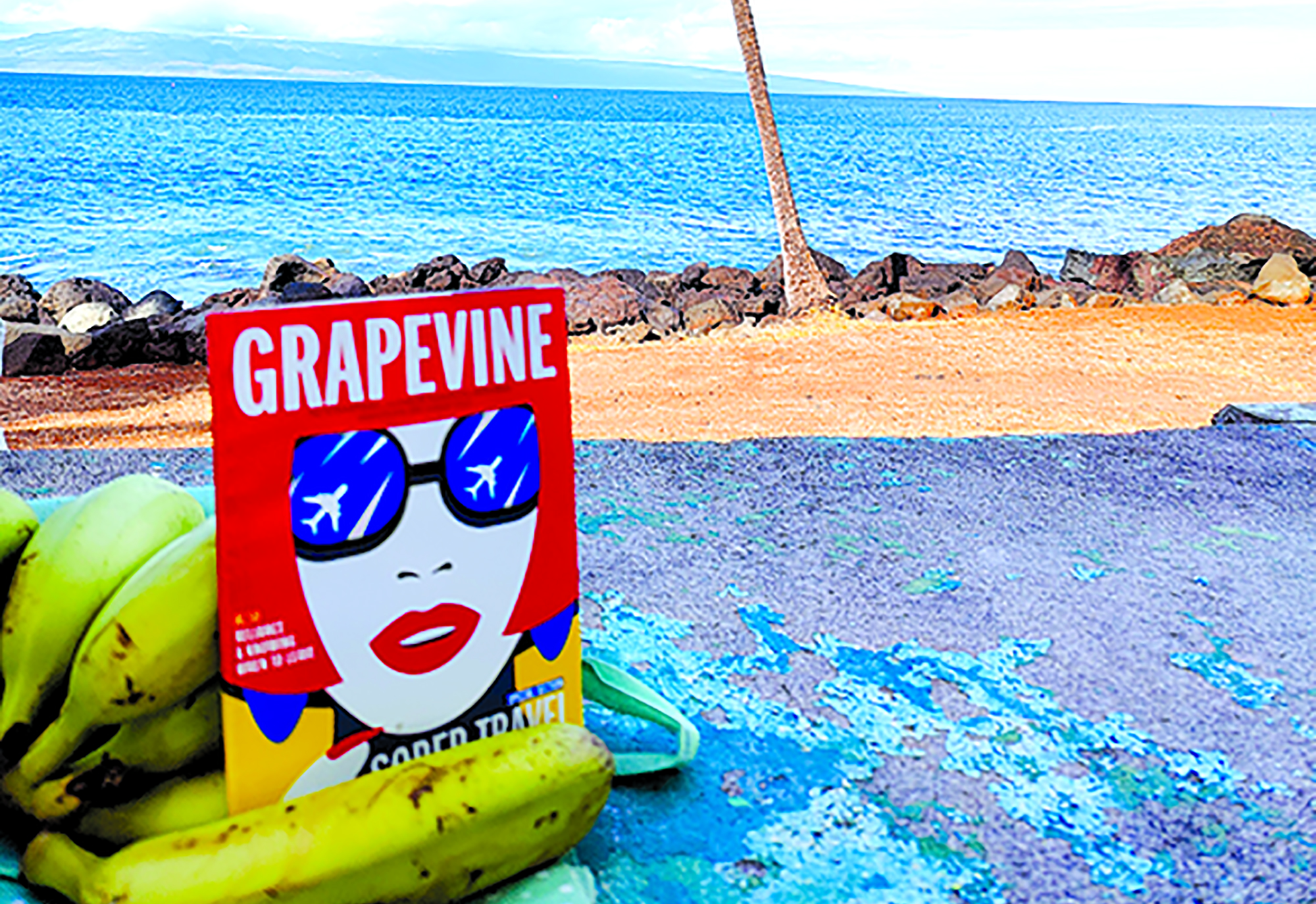 Dear Grapevine February 2023