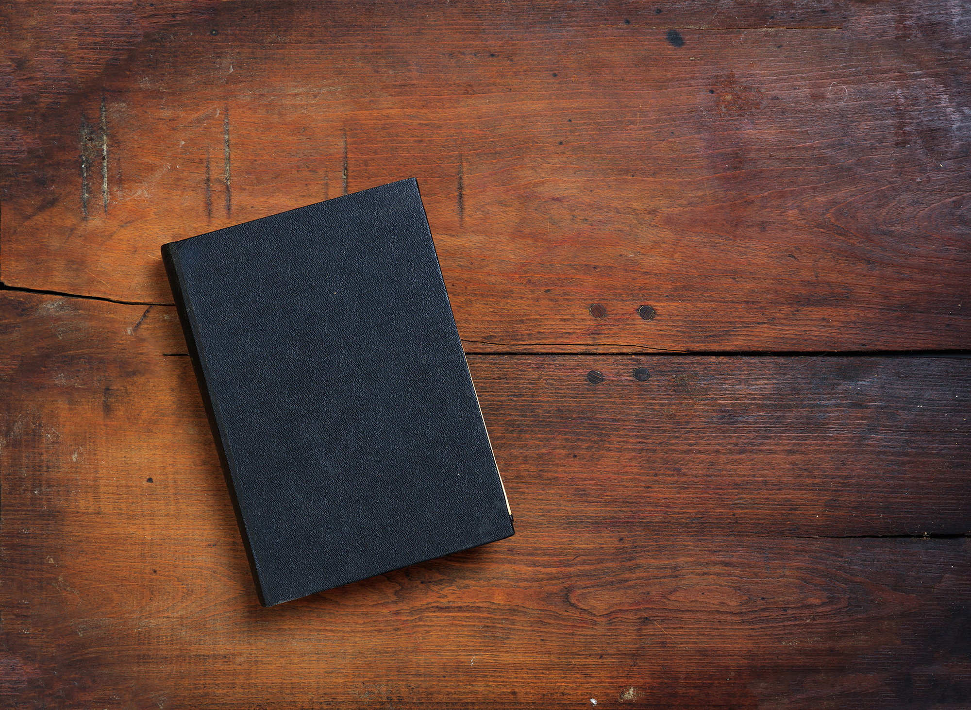 A Certain Book Web Exclusives