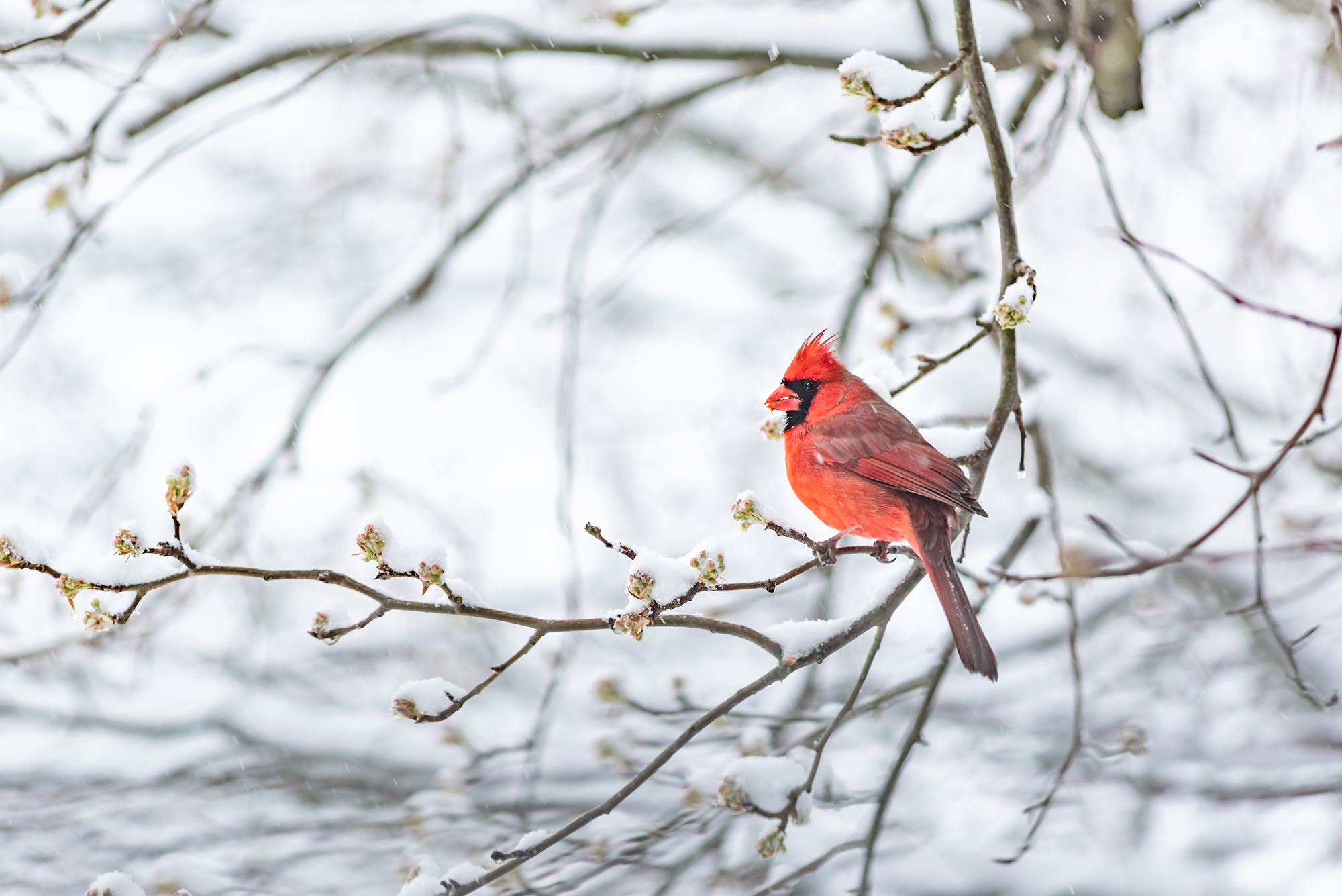 Letting Go Of Hope