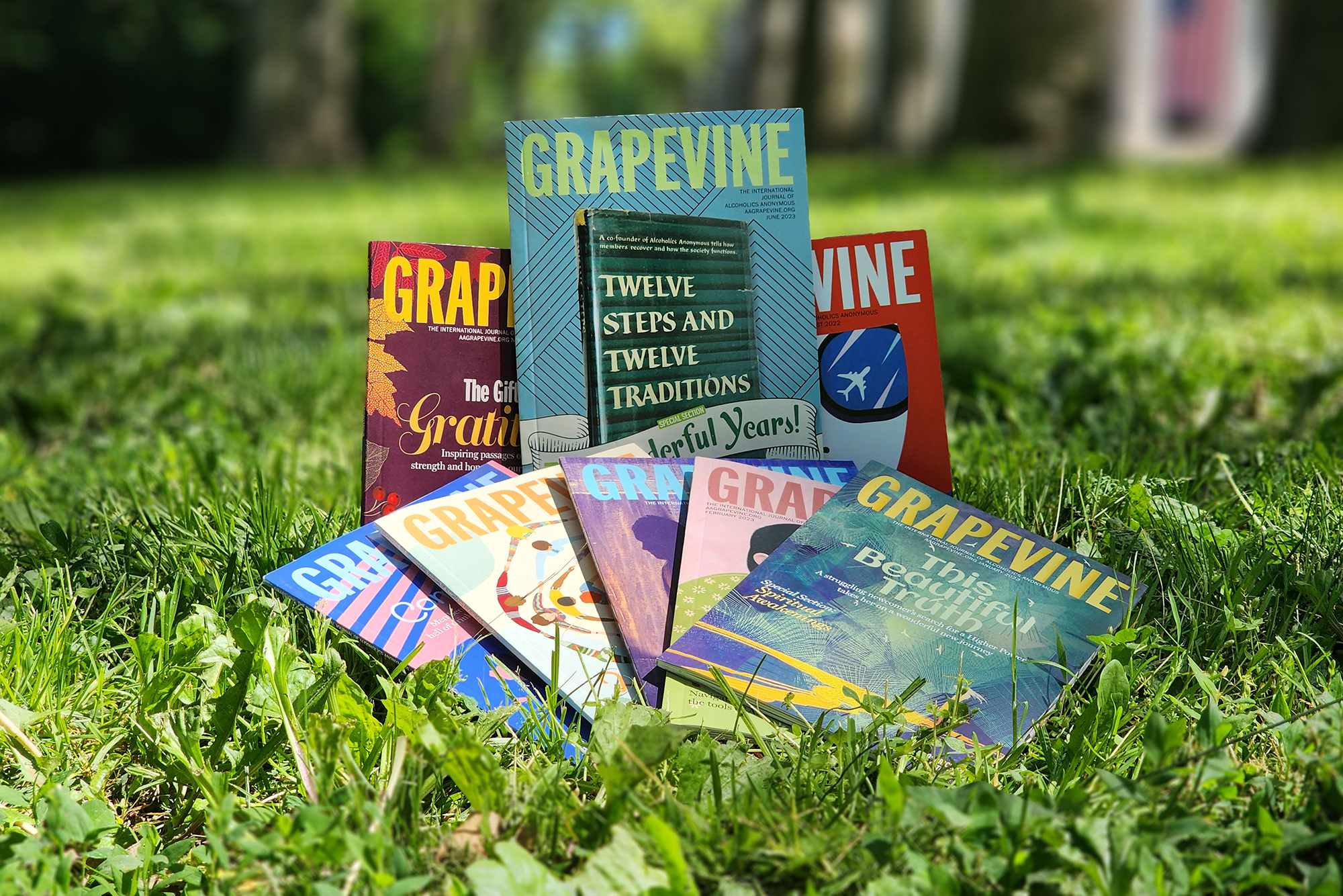 A Grapevine Follow-Up