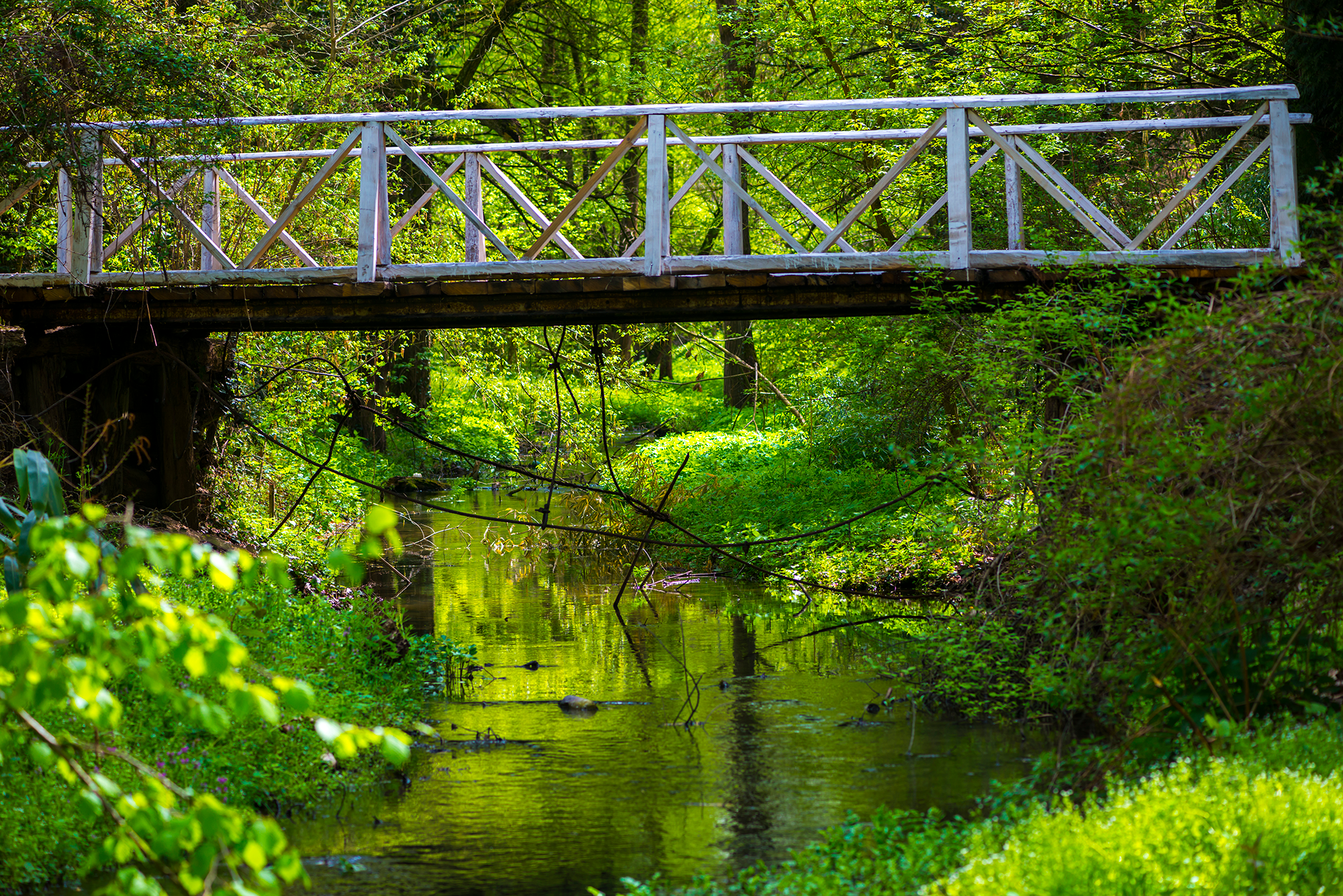 A Bridge To