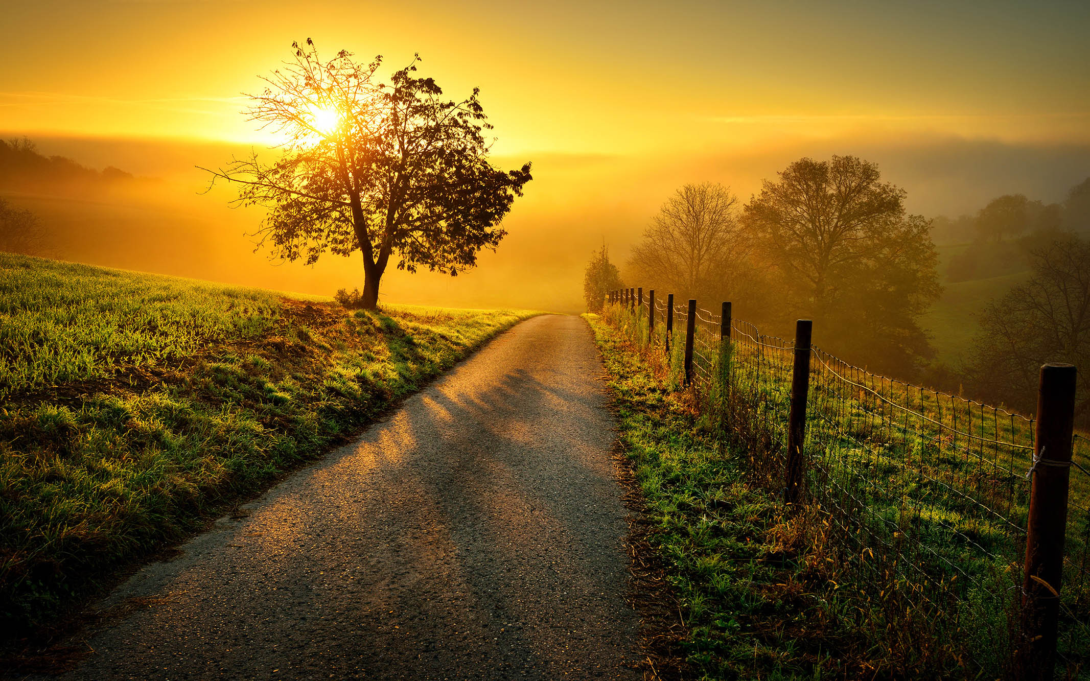 Accepting the Road Ahead