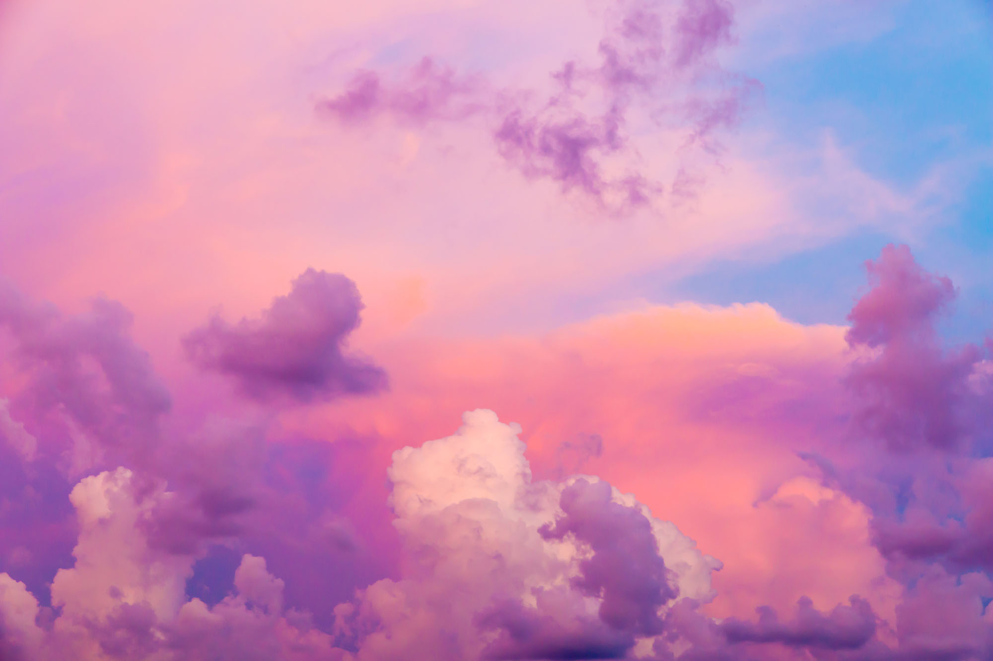In Search of a Pink Cloud