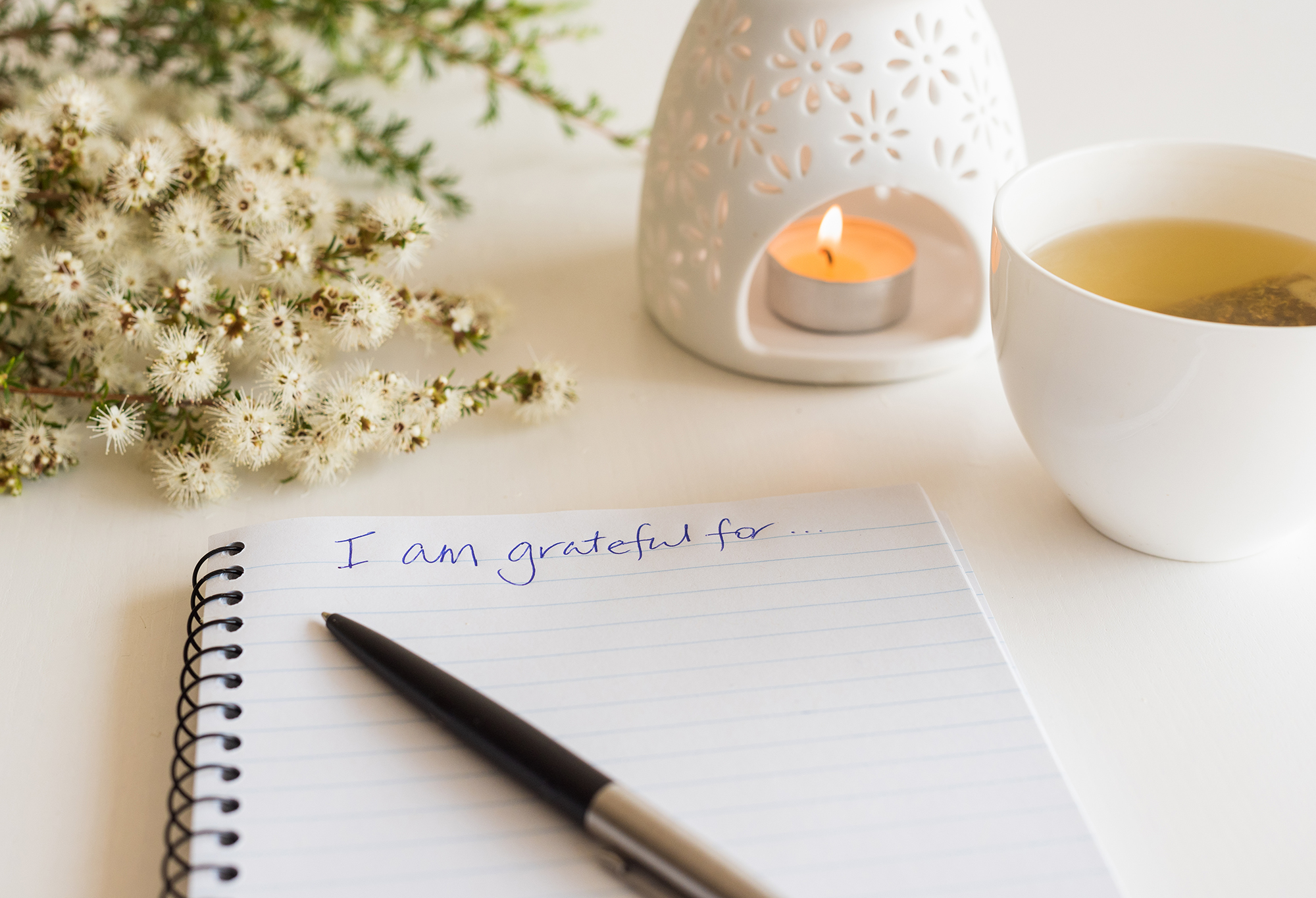 Grateful To Be Grateful