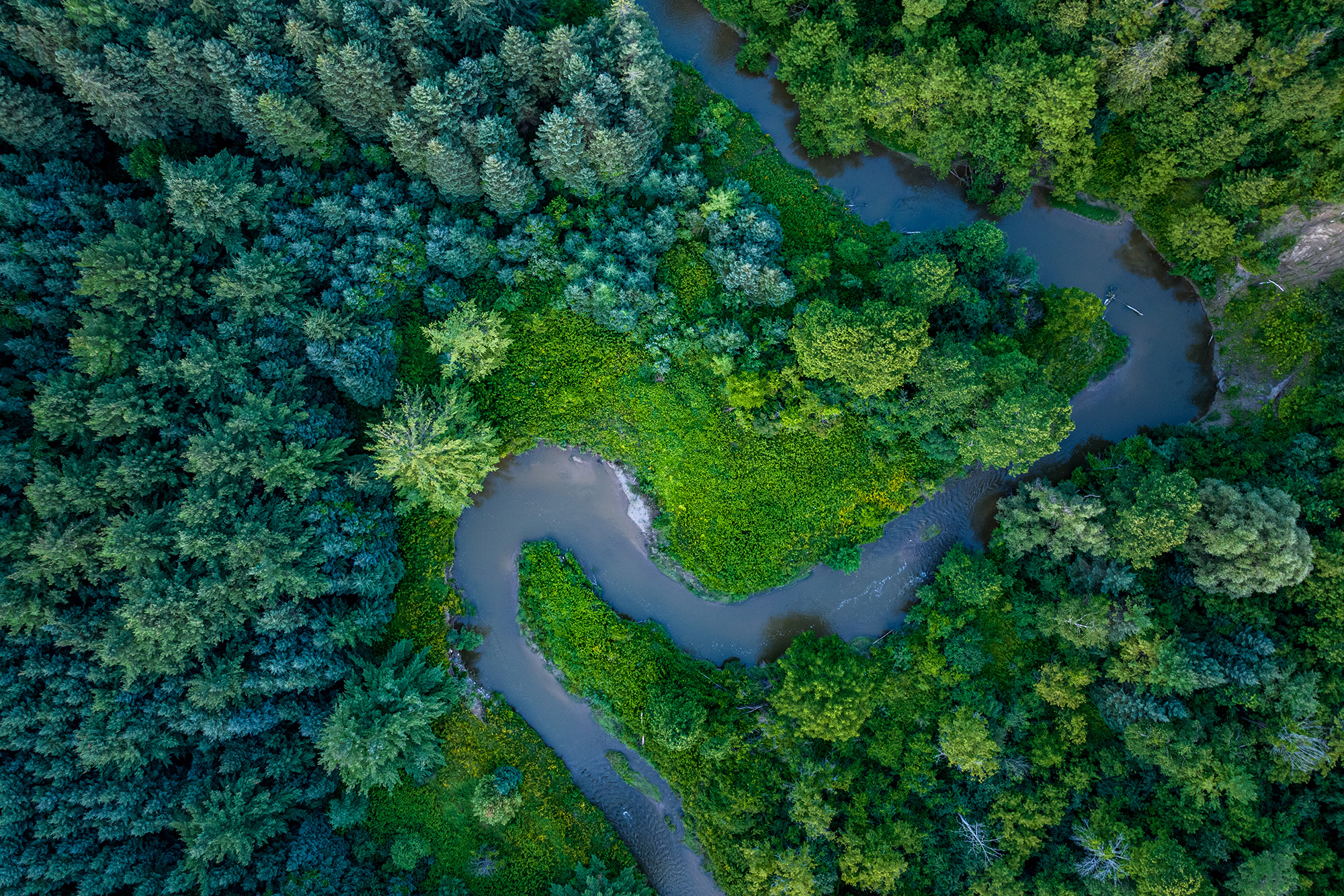 The Answering River