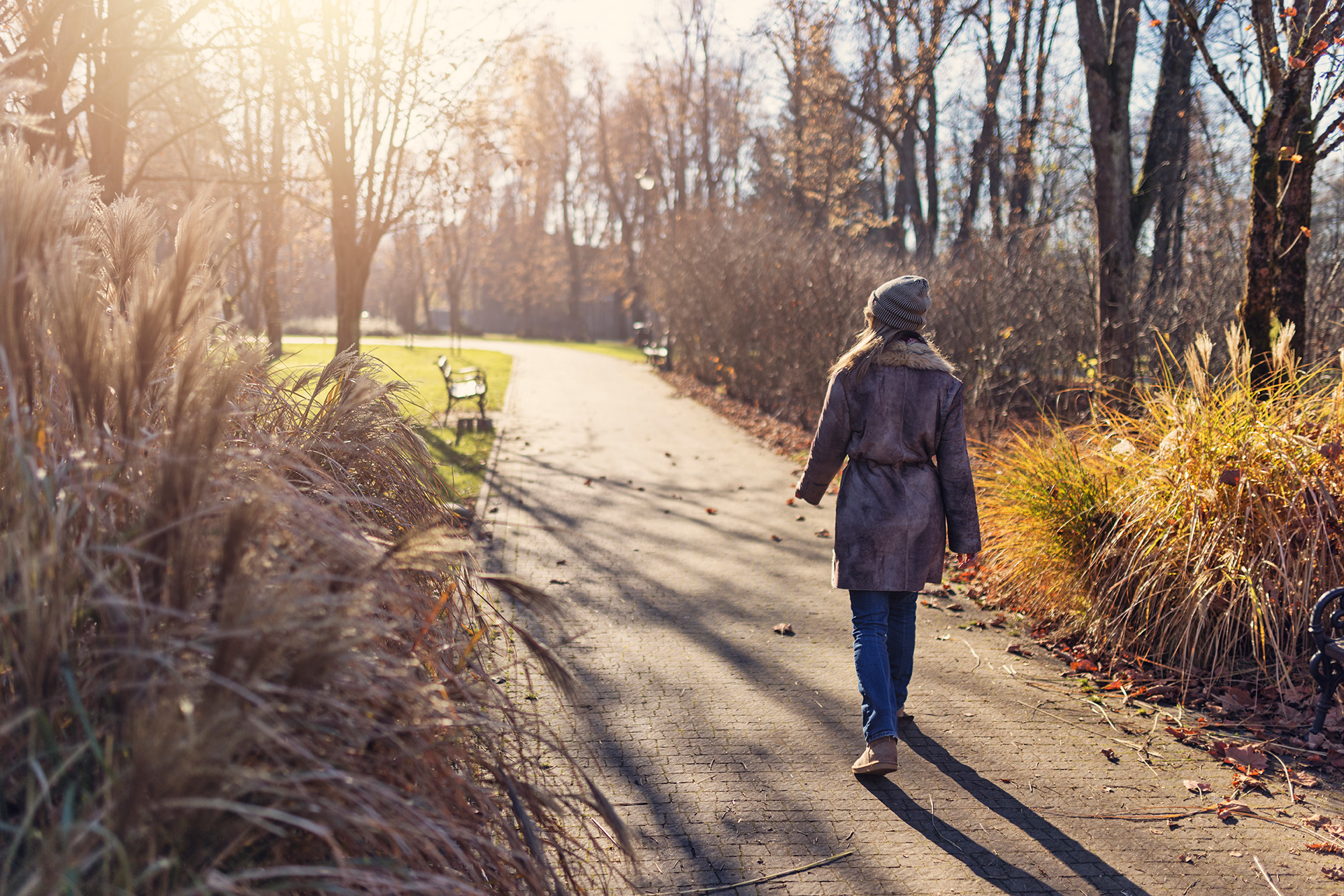 A Morning Walk