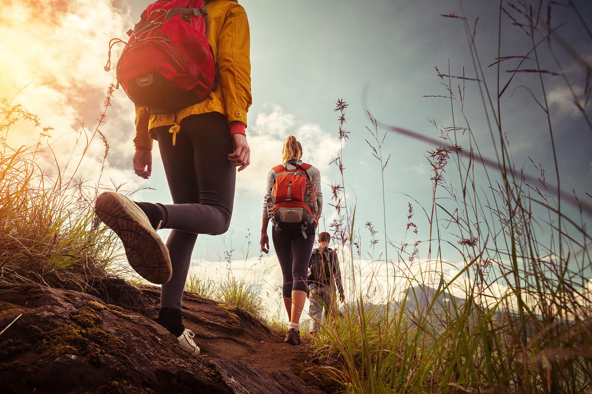 Knowing When To Quit