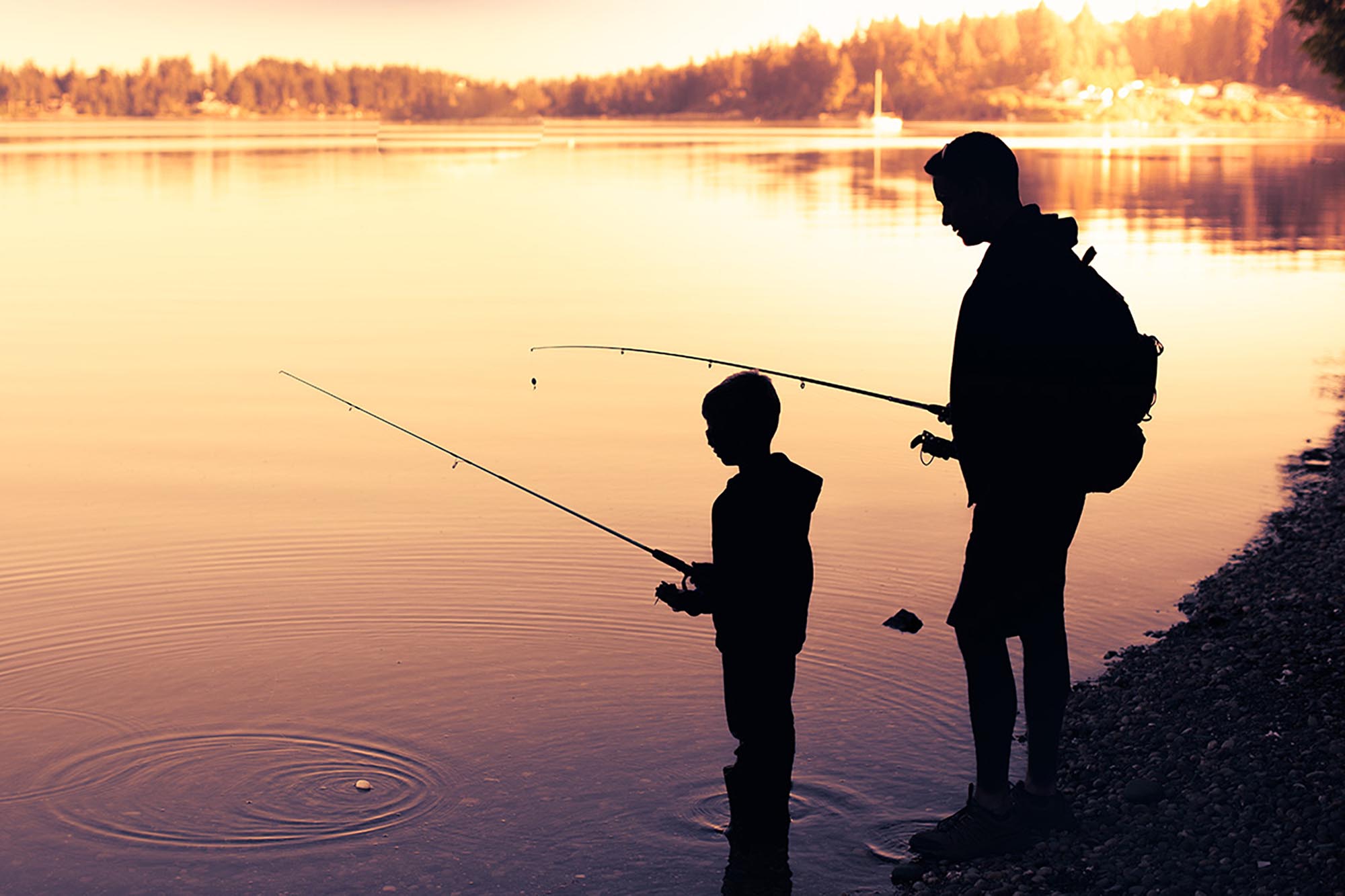 Fishing for Truth