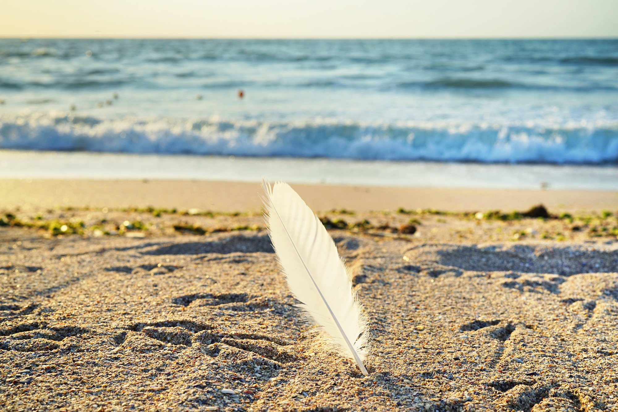 Light As A Feather