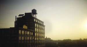 Brooklyn Dreams