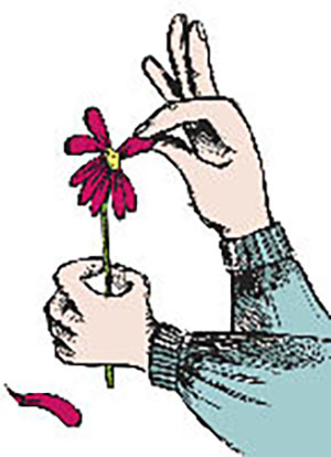 He Loves Me, He Loves Me Not 