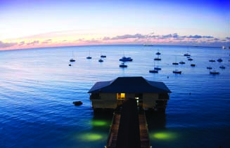 Island in the Sun
