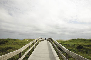 Lost in the Outer Banks 