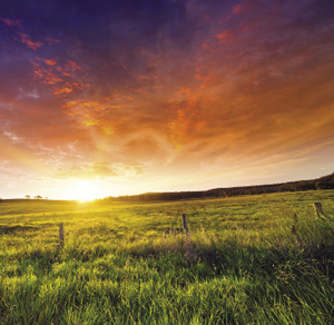 On sacred ground