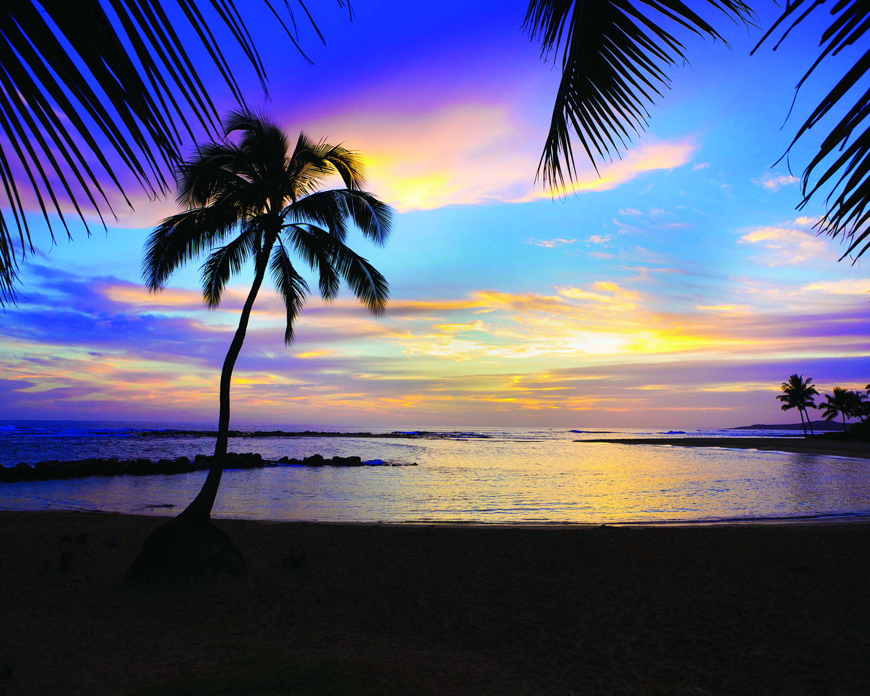 Paradise not lost 