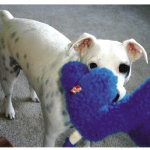 The Big Stare Down