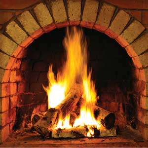 Warm Shares Warm Hearts