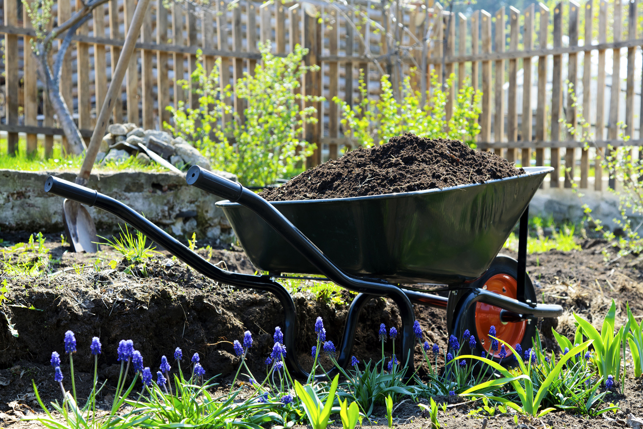 A Circus, a Wheelbarrow and a Cat