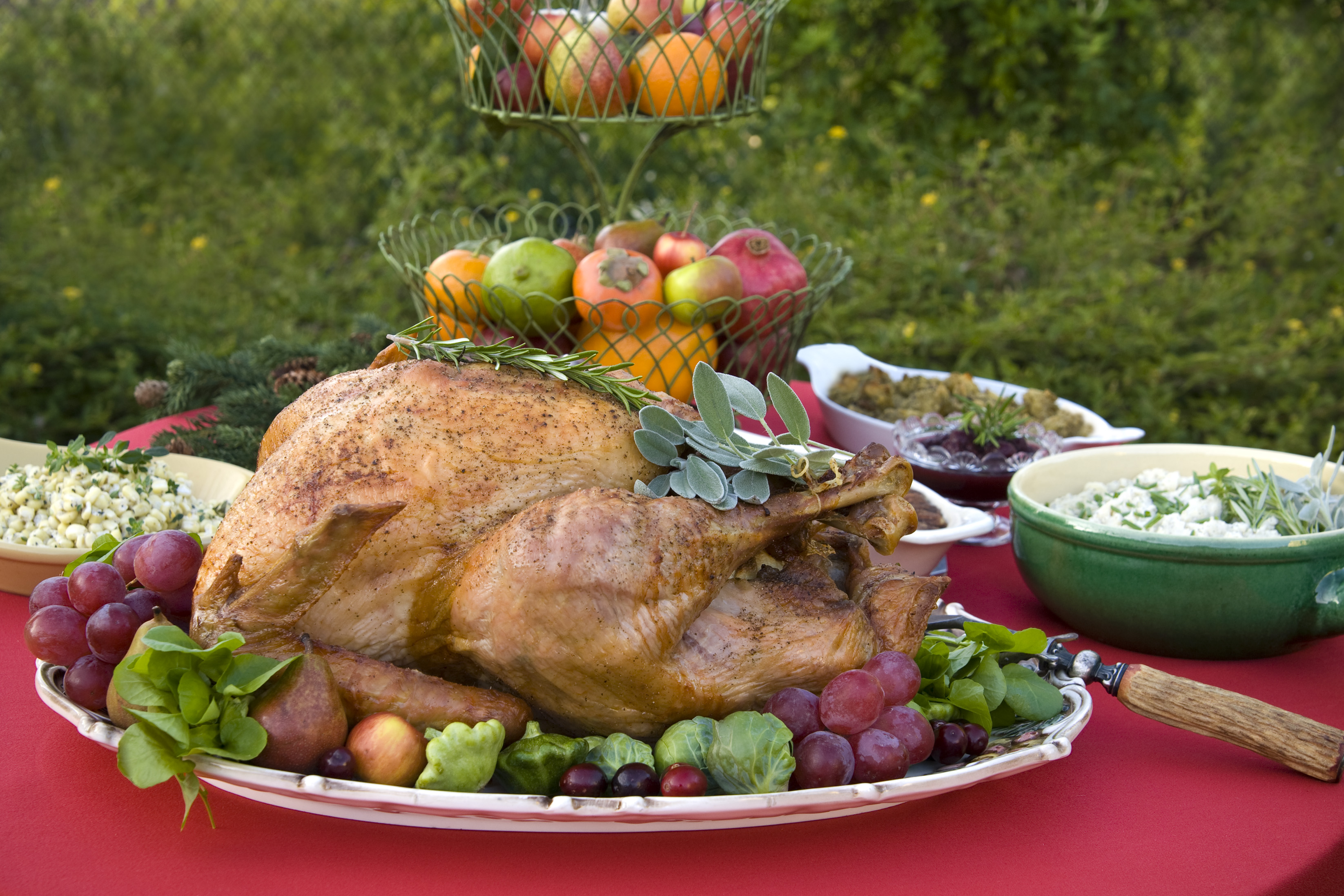 A Day of Love, Service and Turkey