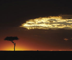 A Second Chance in Africa
