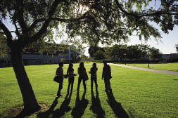 stock image of people walking in a field