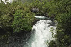The River's Flow