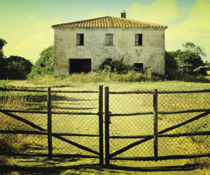 ranchitos