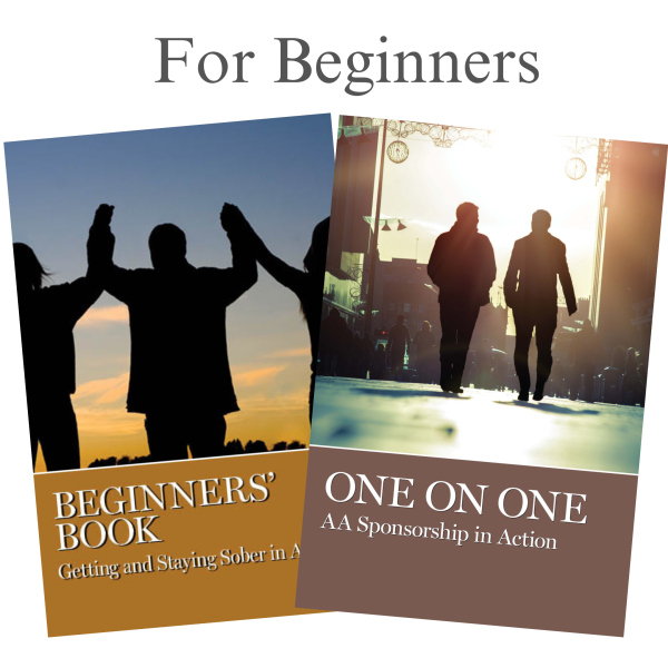For Beginners Book Set