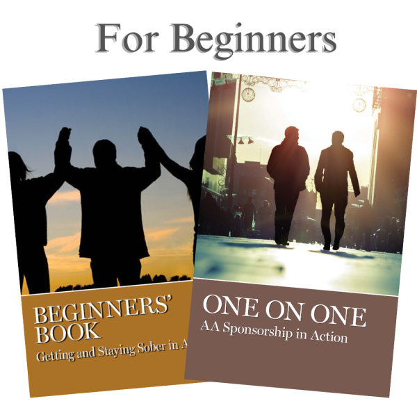 For Beginners Book Set